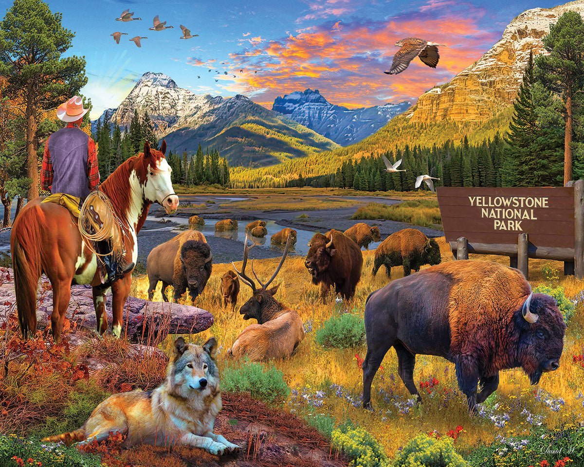 Set of 4: Artist David Maclean - National Parks Bundle 1000 piece