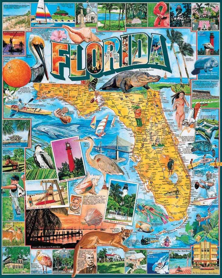 Set of 2: Florida Bundle 1000 Piece