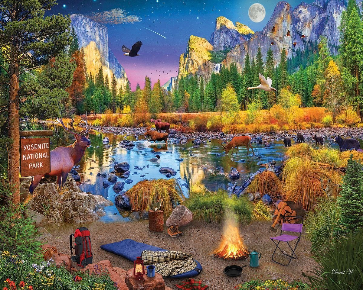 Set of 4: Artist David Maclean - National Parks Bundle 1000 piece