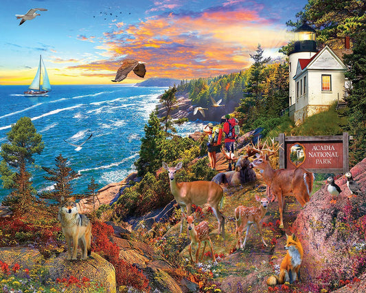 Set of 4: Artist David Maclean - National Parks Bundle 1000 piece
